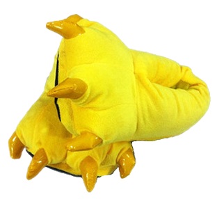yellow slipper.jpg
